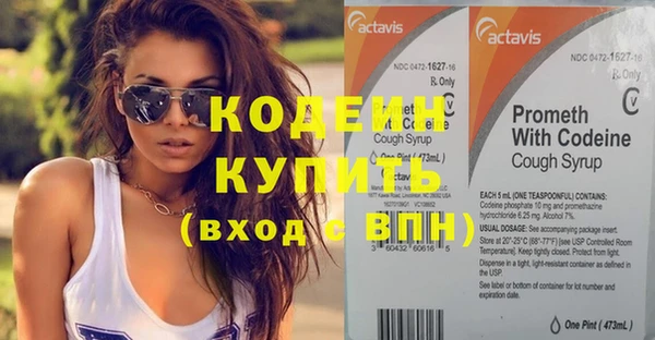 прущие грибы Липки