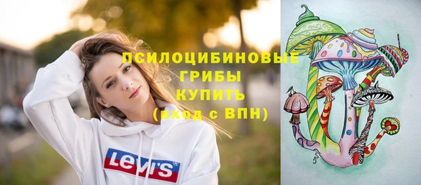 PSILOCYBIN Беломорск