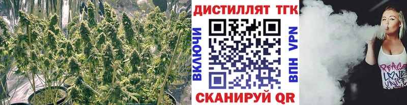 Дистиллят ТГК Wax Бирск