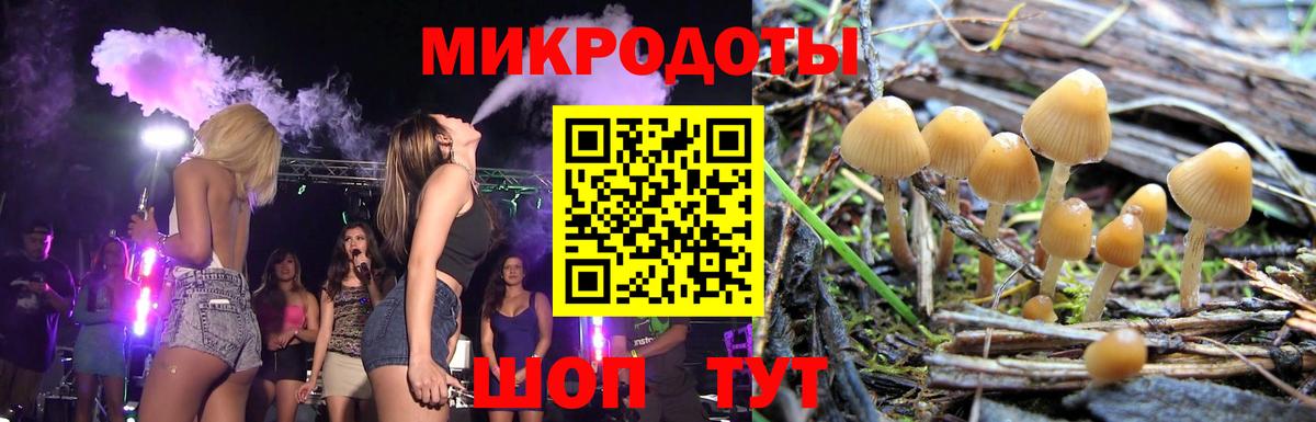 Псилоцибиновые грибы прущие грибы  Вход с VPN  Бирск 