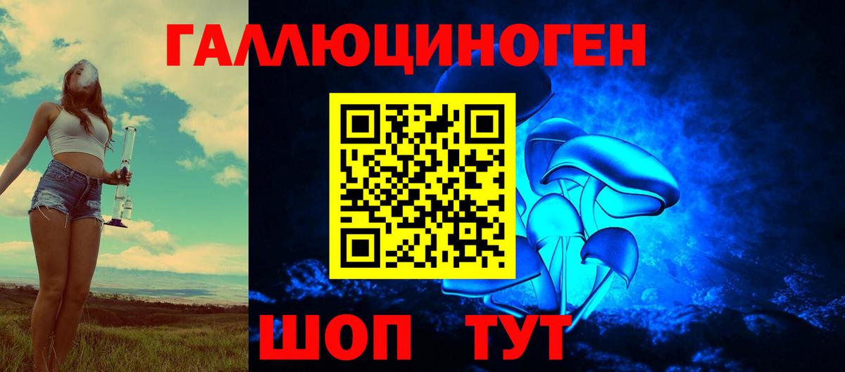 Галлюциногенные грибы Psilocybe Бирск